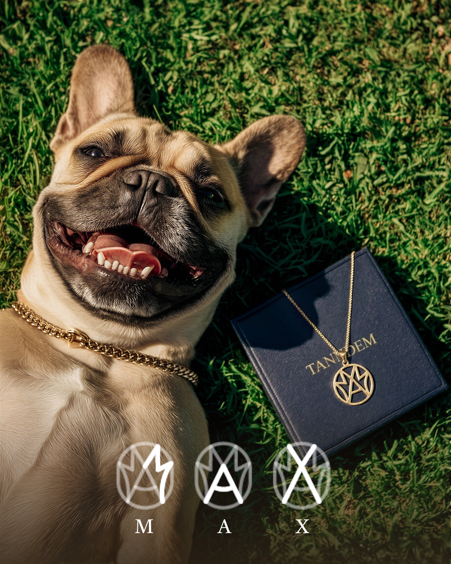 Collier Monogramme – Pour votre fidèle ami